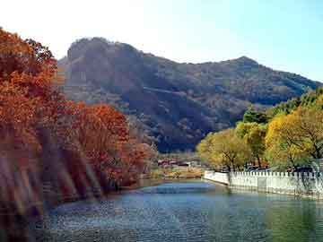 新澳天天开奖资料大全旅游团，深圳校讯通首页